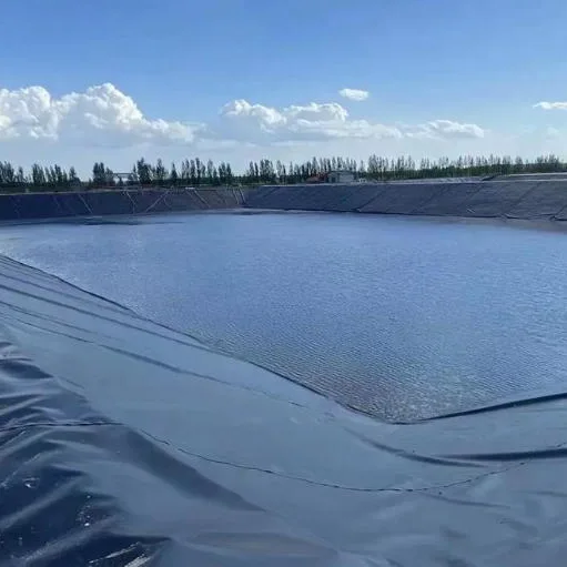Vattenbruk Fiskdamm Geomembran