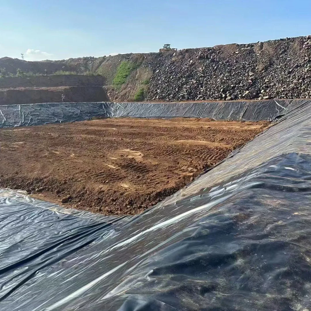 Reservoar Vattenlagring Geomembran