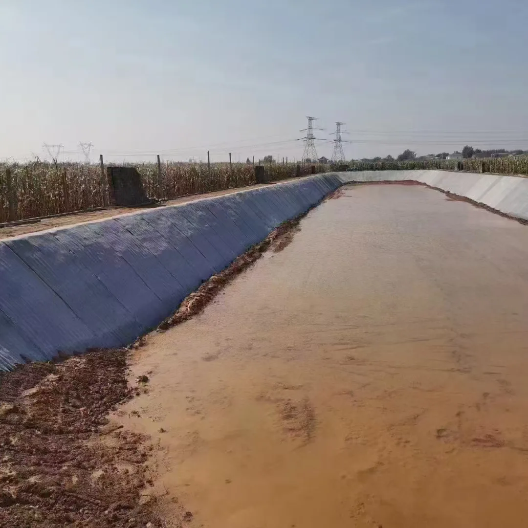 Fiskdamm Betongfilt