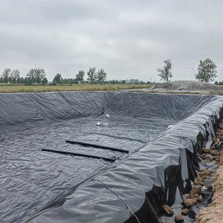 Biogasrötare Geomembran