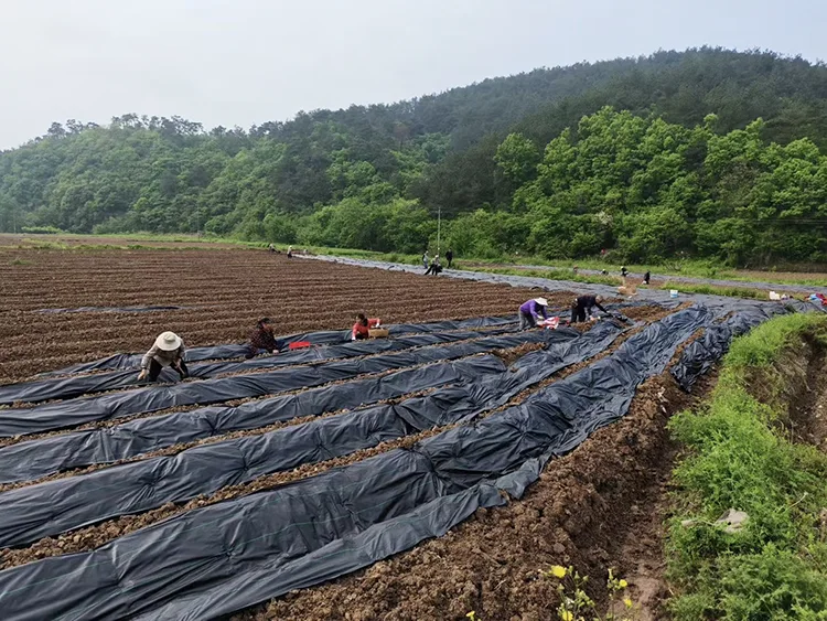 Slope Protection Geotextile Fabric